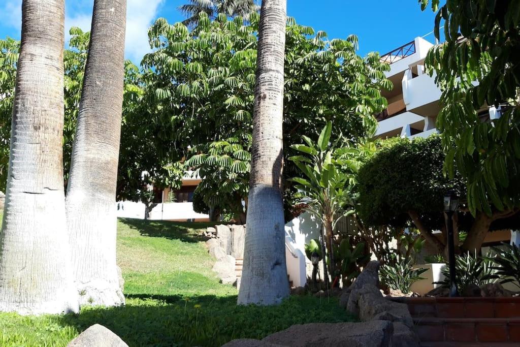 Apartment With Pool And Gardens Near The Coast Σαν Μιγκέλ ντε Αμπόνα Εξωτερικό φωτογραφία